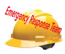 emergency Response Team Hard Hat image